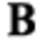 Bombay Stores logo