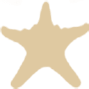 Five Star Properties and Bliss Beach Rentals logo
