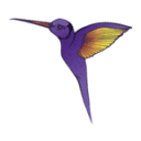 I Live Koeln logo