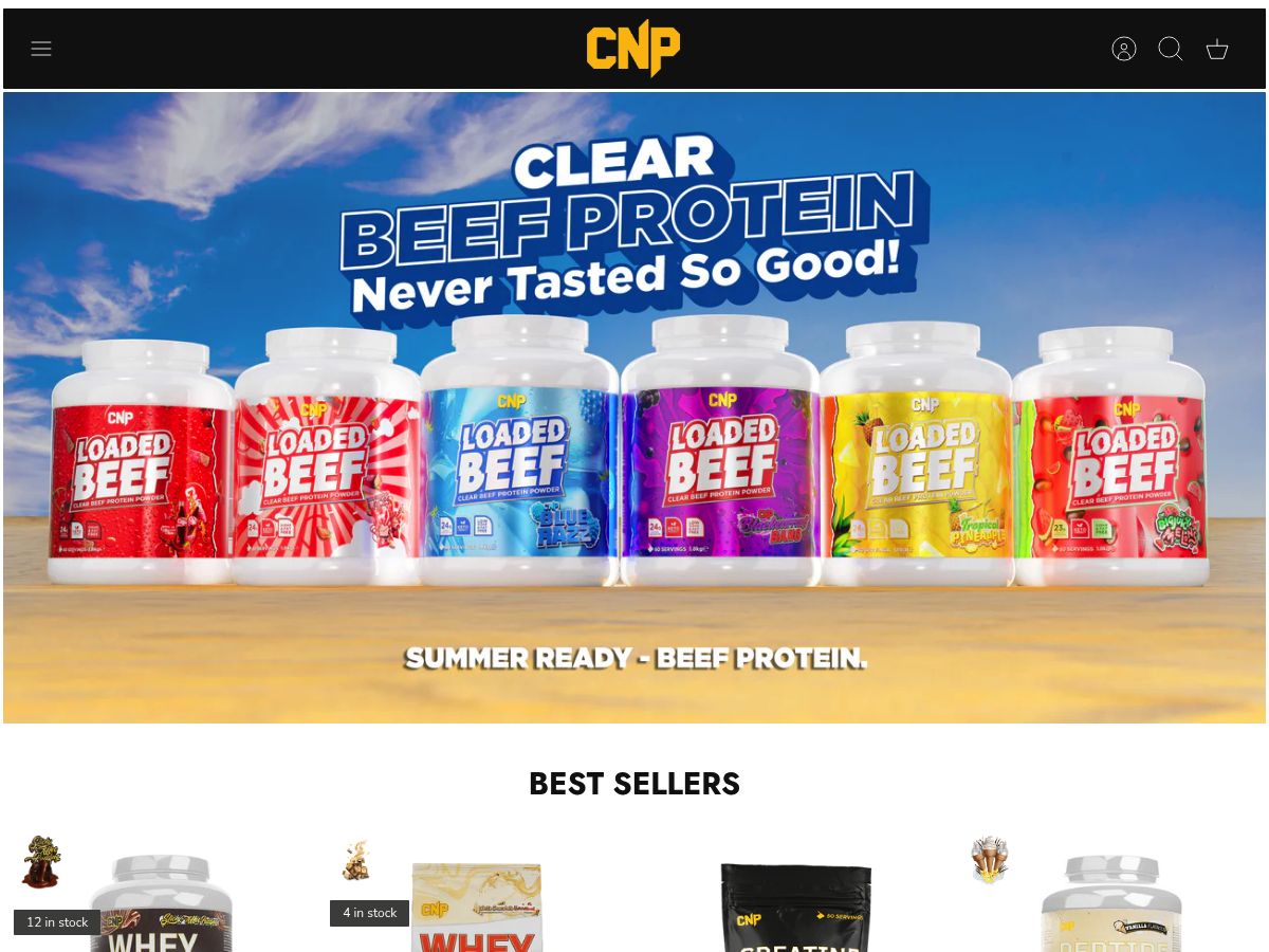CNP Professional logo