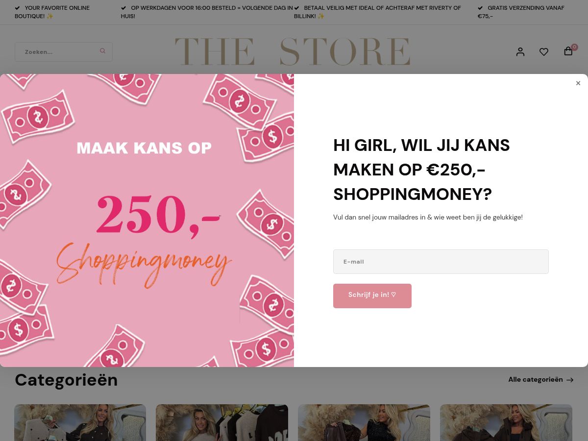 The Store Woerden logo