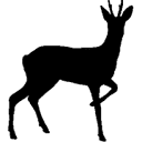 Roebuck Courier Services logo