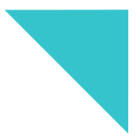 Trinity Logistics logo