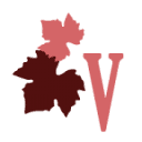 Viinikauppa.com logo