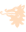Wolf Wine logo